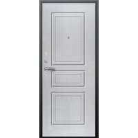 Металлическая дверь Аргус Грант - 1