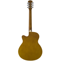 Акустическая гитара Elitaro E4020 N