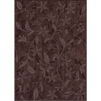Керамическая плитка Opoczno Tanaka Flower Brown 350x250