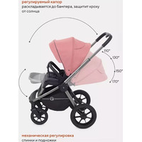 Универсальная коляска Rant Flex Pro RA074 2023 (2 в 1, pink)