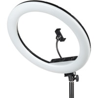 Кольцевая лампа Falcon Eyes BeautyLight 480RC LED