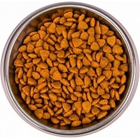 Сухой корм для кошек Monge Sterilised Beef 1.5 кг