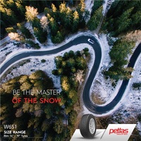 Зимние шины Petlas SnowMaster W651 195/60R15 88H