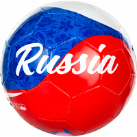 Футбольный мяч Demix P6YZ6NT43W (5 размер)