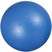 Гимнастический мяч Protrain ASA059-65