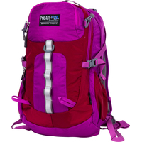 Городской рюкзак Polar П2170 (фиолетовый)