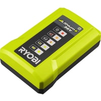 Зарядное устройство Ryobi RY36C17A 5133004557 (36В)