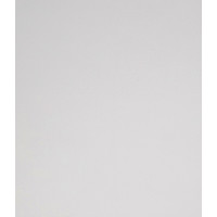 Рулонные шторы Legrand Лестер 38x175 (белый)