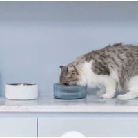 Миска Furrytail Antibacterial Stainless Steel Cat Bowl (белый)