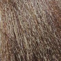 Крем-краска для волос Sergio Professional Color&Blonde 8.31 блондин золотисто-пепельный глазированный