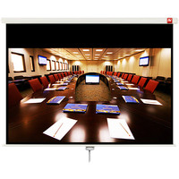 Проекционный экран Avtek Business 280 280x200 (1EVS58)
