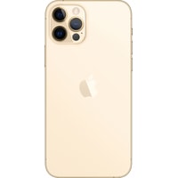 Смартфон Apple iPhone 12 Pro 256GB (золотой)