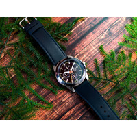 Наручные часы Casio Edifice EFR-526L-2C