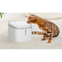 Фонтанчик Xiaowan Kitten&Puppy Pet Water Dispenser MG-WF001 (белый)