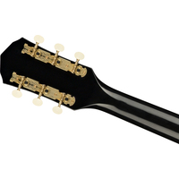 Электроакустическая гитара Fender Tim Armstrong Anniversary Hellcat