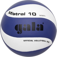 Волейбольный мяч Gala Mistral 10 BV5661S (5 размер)
