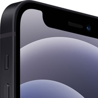 Смартфон Apple iPhone 12 mini 64GB (черный)