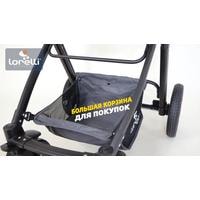 Универсальная коляска Lorelli Alexa 2021 (3 в 1, pearl beige)
