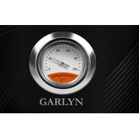 Электрический чайник Garlyn K-100