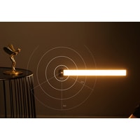 Ночник Yeelight Motion Sensor Closet Light A60 YLCG006 (черный)