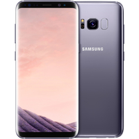 Смартфон Samsung Galaxy S8 64GB (мистический аметист) [G950F]