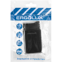 Сетевое зарядное Ergolux ELX-РA01P-C02 ПРОМО