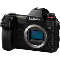 Беззеркальный фотоаппарат Panasonic Lumix DC-S1 Body