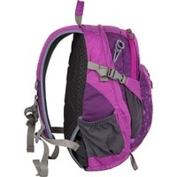 Городской рюкзак Polar П1552 (фиолетовый)