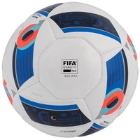 Футбольный мяч Adidas Euro Sala 65 (4 размер)
