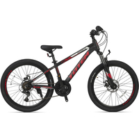 Велосипед Totem Sunshine 24 2022 (черный/красный)