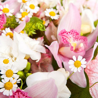 Цветы, букеты Bloom Букет «Порхание лепестков»