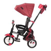 Детский велосипед Lorelli Moovo Air 2021 (красный)