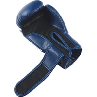 Тренировочные перчатки Insane Mars IN22-BG100 (10 oz, синий)