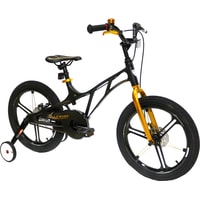 Детский велосипед Lenjoy Sports Pilot 18 LS18-9 2020 (черный/золотой)
