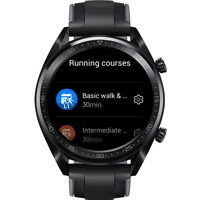 Умные часы Huawei Watch GT FTN-B19 (стальной черный)