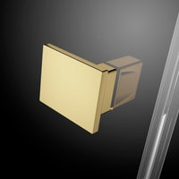 Душевая дверь Radaway Essenza Pro Gold DWJ 110 R