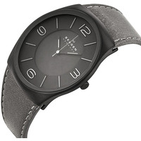 Наручные часы Skagen SKW6041