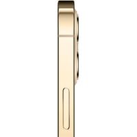 Смартфон Apple iPhone 12 Pro Dual SIM 512GB (золотой)