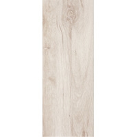 Керамогранит (плитка грес) Argenta Forest Bianco 600x225