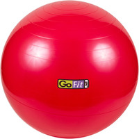 Гимнастический Go Fit Stability Ball 55 см