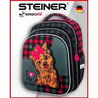 Школьный рюкзак Steiner SK2-15