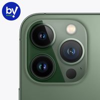 Смартфон Apple iPhone 13 Pro 128GB Восстановленный by Breezy, грейд A (альпийский зеленый)