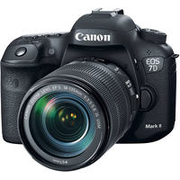 Зеркальный фотоаппарат Canon EOS 7D Mark II Kit 18-135mm IS USM