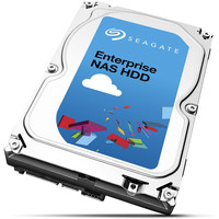 Жесткий диск Seagate Enterprise NAS 3TB (ST3000VN0001)