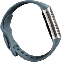 Фитнес-браслет Fitbit Charge 5 (синий)