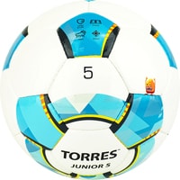 Футбольный мяч Torres Junior-5 F320225 (5 размер)