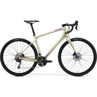Велосипед Merida Silex 400 L 2022 (шампань/фиолетовый)