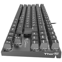 Клавиатура Genesis Thor 300 TKL