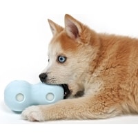 Игрушка для собак EBI Petit Coco 309/449417