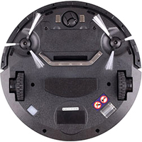 Робот-пылесос Panda X550 (черный)
